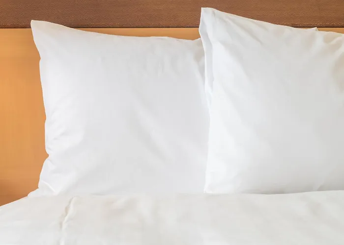 Top Day Use Hotels in Dallas