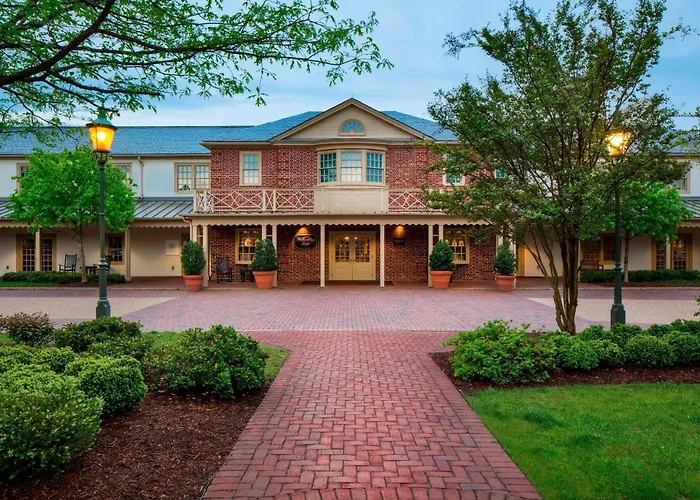 Top Hotels Near Williamsburg Brooklyn for a Vibrant Stay