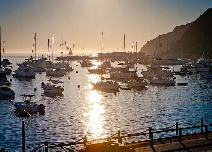 Top-Rated Hotels Near Avalon CA