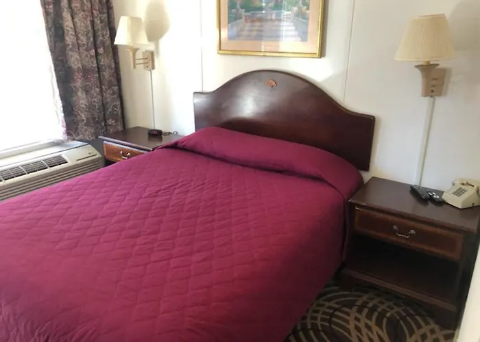 Best Hotels South Vienna