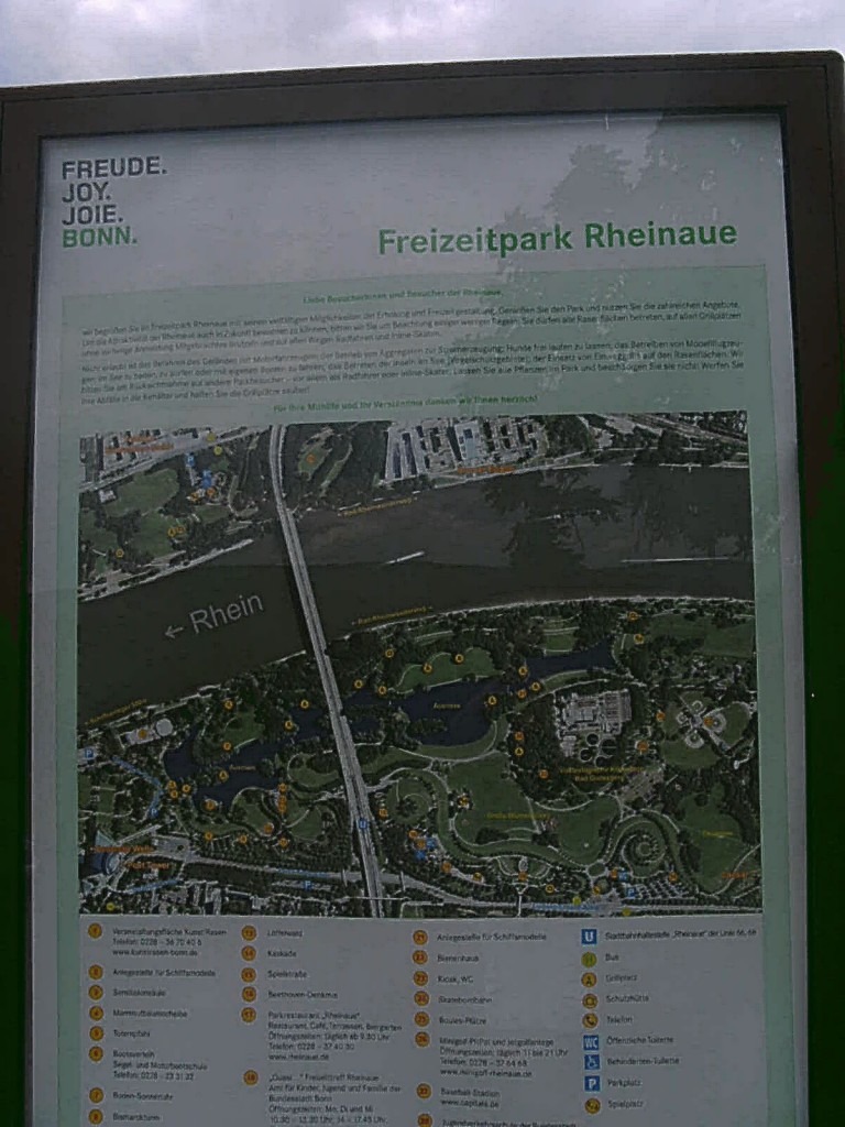 Rheinauen in Bonn 013